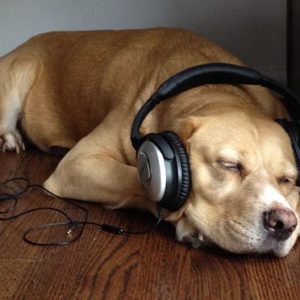 Music