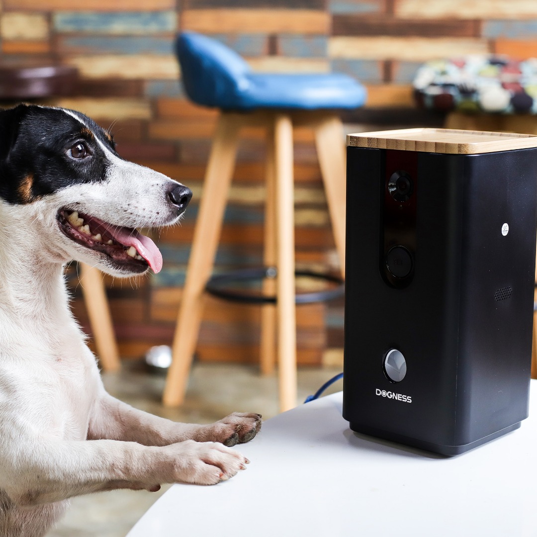 Smart Cam Treater4