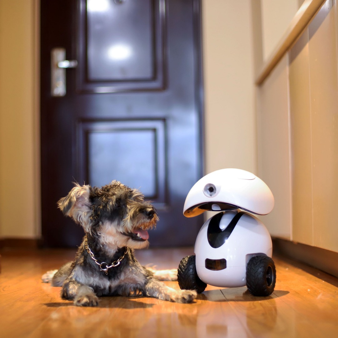 irobot4